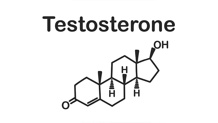 Testosterone